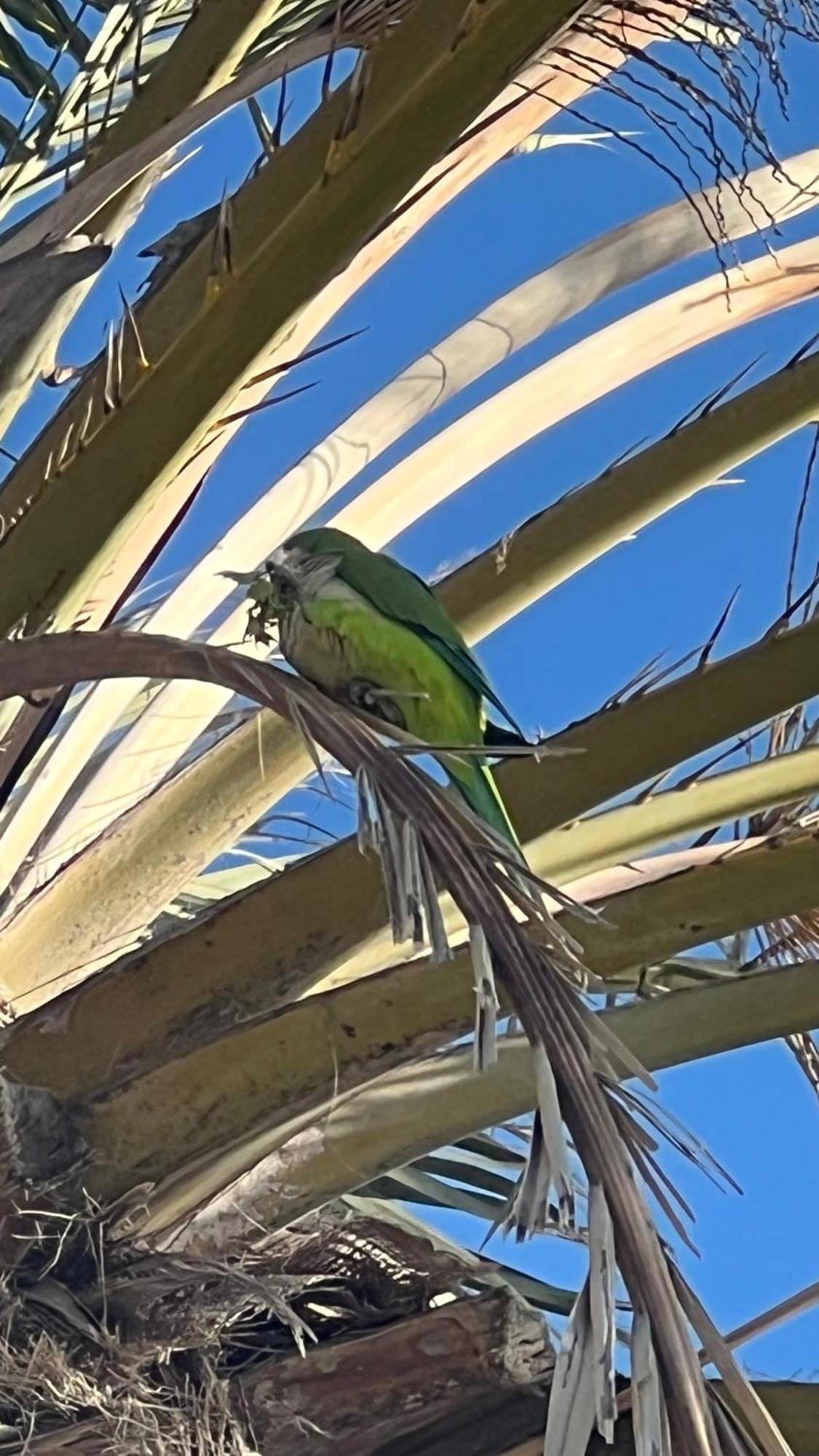 Villa de luxe vue mer à Torrox Casa Palmera Eksteriør bilde