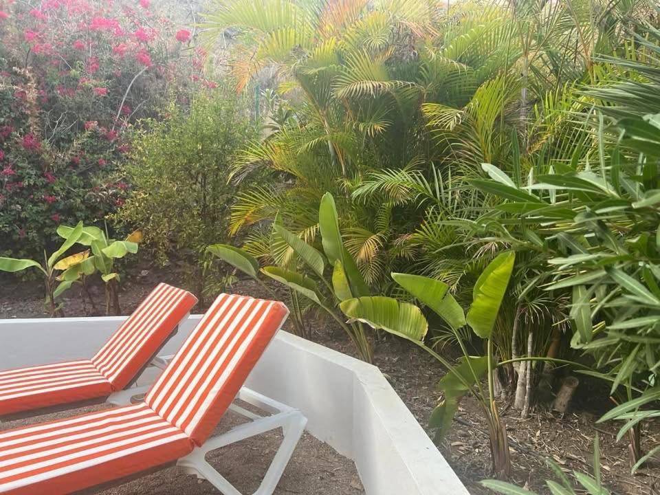 Villa de luxe vue mer à Torrox Casa Palmera Eksteriør bilde
